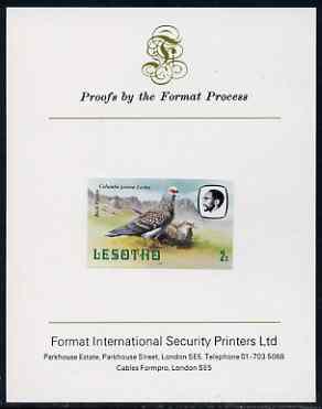 Lesotho 1982 Rock Pigeon 2s imperf proof mounted on Format International proof card (as SG 501), stamps on , stamps on  stamps on lesotho, stamps on  stamps on birds, stamps on  stamps on pigeons, stamps on  stamps on 