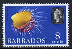 Barbados 1966-69 Rough File Shell 8c (wmk sideways) unmounted mint SG 348, stamps on marine life, stamps on shells