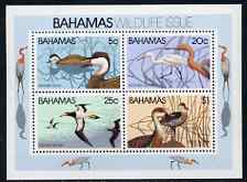 Bahamas 1981 Wildlife (1st series) Birds unmounted mint m/sheet, SG MS 593, stamps on birds