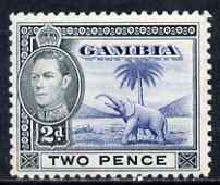 Gambia 1938-46 KG6 Elephant & Palm 2d blue & black unmounted mint, SG 153*, stamps on , stamps on  stamps on elephants, stamps on  stamps on animals, stamps on  stamps on  kg6 , stamps on  stamps on trees