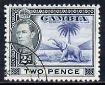 Gambia 1938-46 KG6 Elephant & Palm 2d blue & black fine cds used, SG 153, stamps on elephants, stamps on animals, stamps on  kg6 , stamps on trees