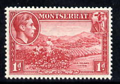 Montserrat 1938-48 Sea Island Cotton 1d carmine P13 unmounted mint, SG 102, stamps on , stamps on  stamps on industry, stamps on  stamps on textiles, stamps on  stamps on cotton, stamps on  stamps on  kg6 , stamps on  stamps on 