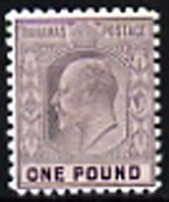 Bahamas 1902 King Edward £1,  'Maryland' perf forgery 'unused', as SG 70 - the word Forgery is either handstamped or printed on the back and comes on a presentation card with descriptive notes, stamps on , stamps on  stamps on maryland, stamps on  stamps on forgery, stamps on  stamps on forgeries, stamps on  stamps on  ke7 , stamps on  stamps on 