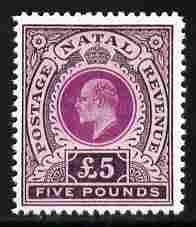 Natal 1902 KE7 £5,  'Maryland' perf forgery 'unused', as SG 144 - the word Forgery is either handstamped or printed on the back and comes on a presentation card with descriptive notes, stamps on , stamps on  stamps on maryland, stamps on  stamps on forgery, stamps on  stamps on forgeries, stamps on  stamps on 