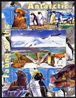 Kyrgyzstan 2004 Fauna of the World - Antarctic perf sheetlet containing 6 values cto used, stamps on , stamps on  stamps on polar, stamps on  stamps on animals, stamps on  stamps on seals, stamps on  stamps on penguins, stamps on  stamps on birds