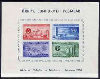 Turkey 1952 United Nations Economic Conference m/sheet unmounted mint, SG MS1468a, only 25,000 produced and on sale for less than 3 months, stamps on united nations
