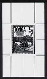 Tonga 1991 Pile of Fruit 2p (from Heilala Week set) B&W photographic proof, scarce thus, as SG 1132, stamps on , stamps on  stamps on fruit, stamps on  stamps on food