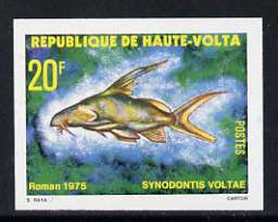 Upper Volta 1979 Freshwater Fish 20f Volta Squeaker unmounted mint imperf single, as SG 520, stamps on fish