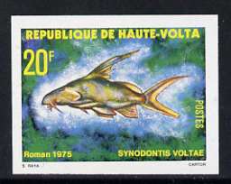 Upper Volta 1979 Freshwater Fish 20f Volta Squeaker unmounted mint imperf single, as SG 520, stamps on , stamps on  stamps on fish