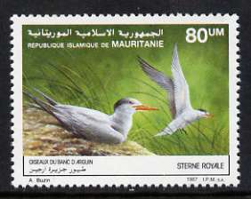 Mauritania 1988 Royal Terns 80um from Fishes and Birds set, unmounted mint SG 900, stamps on birds