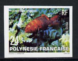 French Polynesia 1981 24f Purple-spotted Grouper imperf single unmounted mint, as SG 341, stamps on , stamps on  stamps on fish
