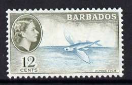 Barbados 1953-61 Flying Fish 12c (wmk Script CA) unmounted mint, SG 296, stamps on fish
