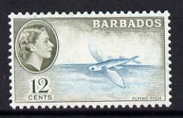 Barbados 1953-61 Flying Fish 12c (wmk Script CA) unmounted mint, SG 296, stamps on fish