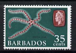Barbados 1966-69 Brittle Star 35c (wmk sideways) unmounted mint, SG 352, stamps on marine life, stamps on starfish