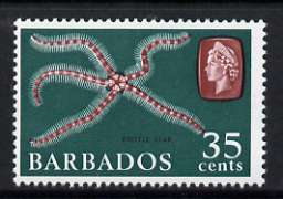 Barbados 1966-69 Brittle Star 35c (wmk sideways) unmounted mint, SG 352, stamps on , stamps on  stamps on marine life, stamps on  stamps on starfish