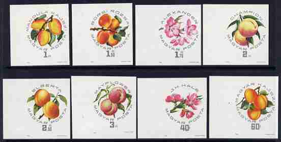 Hungary 1964 National Peaches and Apricots Exhibition Budapest set of 8 values imperf unmounted mint, as SG 2009-16, stamps on fruit, stamps on peaches, stamps on aprictos, stamps on flowers, stamps on trees
