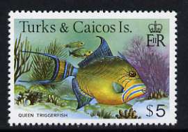 Turks & Caicos Islands 1978-83 Queen Triggerfish $5 unmounted mint, SG 528A, stamps on , stamps on  stamps on fish