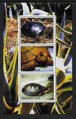 Karachaevo-Cherkesia Republic 2000 Tortoises perf sheetlet (vert) containing 3 values, unmounted mint, stamps on , stamps on  stamps on reptiles, stamps on  stamps on tortoises