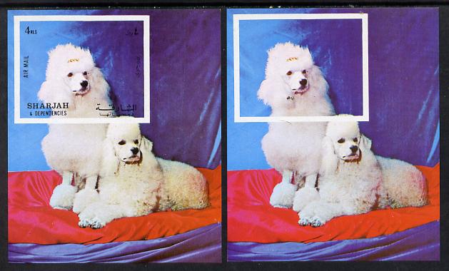Sharjah 1972 Dogs (Poodles) imperf m/sheet with black omitted (Country, value, etc) plus normal unmounted mint (as Mi BL 119) , stamps on animals    dogs   poodles