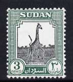 Sudan 1951-61 Giraffe 3m unmounted mint, SG 125, stamps on , stamps on  stamps on animals, stamps on  stamps on giraffes