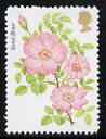 Great Britain 1976 Centenary of Royal National Rose Society 13p with face value omitted, a  Maryland perf unused forgery, as SG 1009a - the word Forgery is either handsta..., stamps on maryland, stamps on forgery, stamps on forgeries