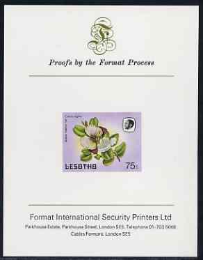 Lesotho 1984 Butterflies Queen Purple Tip 75s imperf proof mounted on Format International proof card as SG 576, stamps on , stamps on  stamps on butterflies