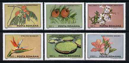 Rumania 1995 Plants from Bucharest Botanical Gardens perf set of 6 unmounted mint, SG 5771-76, stamps on , stamps on  stamps on flowers, stamps on  stamps on rhododendron, stamps on  stamps on water-lily, stamps on  stamps on trees