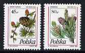 Poland 1995 Cones set of 2 unmounted mint, SG 3557-58, stamps on , stamps on  stamps on trees