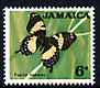 Jamaica 1964-68 Butterfly 6d (from def set) unmounted mint, SG 223, stamps on , stamps on  stamps on butterfly