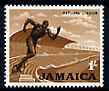 Jamaica 1964-68 National Sports Stadium 1s (from def set) unmounted mint, SG 226, stamps on sport