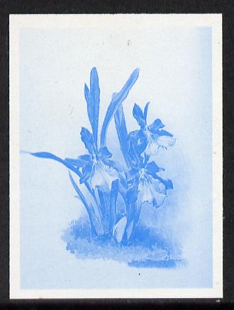Guyana 1985-89 Orchids Series 2 plate 83 (Sanders Reichenbachia) unmounted mint imperf progressive proof in blue only, stamps on flowers  orchids