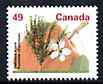 Canada 1991-96 Delicious Apple 49c (from Fruit & Nut Trees def set) unmounted mint SG 1468, stamps on trees, stamps on apples, stamps on fruit