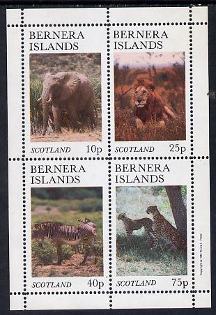 Bernera 1981 Animals (Elephant, Lion. Zebra) perf set of 4 values (imprint in outer margin) unmounted mint, stamps on , stamps on  stamps on animals, stamps on  stamps on cats, stamps on  stamps on elephant, stamps on  stamps on elephants, stamps on  stamps on zebras, stamps on  stamps on zebra