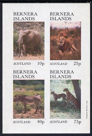 Bernera 1981 Animals (Elephant, Lion. Zebra) imperf set of 4 values (imprint in outer margin) unmounted mint, stamps on , stamps on  stamps on animals, stamps on  stamps on cats, stamps on  stamps on elephant, stamps on  stamps on elephants, stamps on  stamps on zebras, stamps on  stamps on zebra