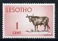 Lesotho 1971 Cattle 1c from def set unmounted mint, SG 192*, stamps on animals, stamps on bovine, stamps on cows