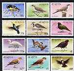 St Kitts 1981 Birds definitive perf set of 12 opt'd OFFICIAL unmounted mint, SG O11-22, stamps on birds, stamps on frigate, stamps on birds of prey, stamps on egret, stamps on turnstone, stamps on pelican, stamps on bullfinch, stamps on dove, stamps on kestrel, stamps on humming-birds, stamps on hummingbirds