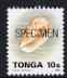 Tonga 1993-95 Bubble Cone 10s (from Marine Life def set) optd SPECIMEN, as SG 1221 (1993 imprint date) unmounted mint, stamps on marine life, stamps on shells