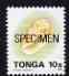 Tonga 1993-95 Bubble Cone 10s (from Marine Life def set) opt'd SPECIMEN, as SG 1221a (1995 imprint date) unmounted mint, stamps on , stamps on  stamps on marine life, stamps on  stamps on shells