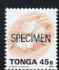 Tonga 1993-95 Giant Spider Conch Shell 45s (from Marine Life def set) opt'd SPECIMEN, as SG 1225a (1995 imprint date) unmounted mint, stamps on , stamps on  stamps on marine life, stamps on  stamps on shells