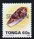 Tonga 1993-95 Princely Cone Shell 60s (from Marine Life def set) opt'd SPECIMEN, as SG 1227 (1993 imprint date) unmounted mint, stamps on , stamps on  stamps on marine life, stamps on  stamps on shells