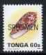 Tonga 1993-95 Princely Cone Shell 60s (from Marine Life def set) opt'd SPECIMEN, as SG 1227a (1995 imprint date) unmounted mint, stamps on , stamps on  stamps on marine life, stamps on  stamps on shells