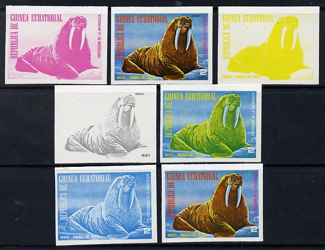 Equatorial Guinea 1977 North American Animals 2e (Walrus) set of 7 imperf progressive proofs comprising the 4 individual colours plus 2, 3 and 4-colour composites, a superb and important group unmounted mint (as Mi 1242), stamps on , stamps on  stamps on animals