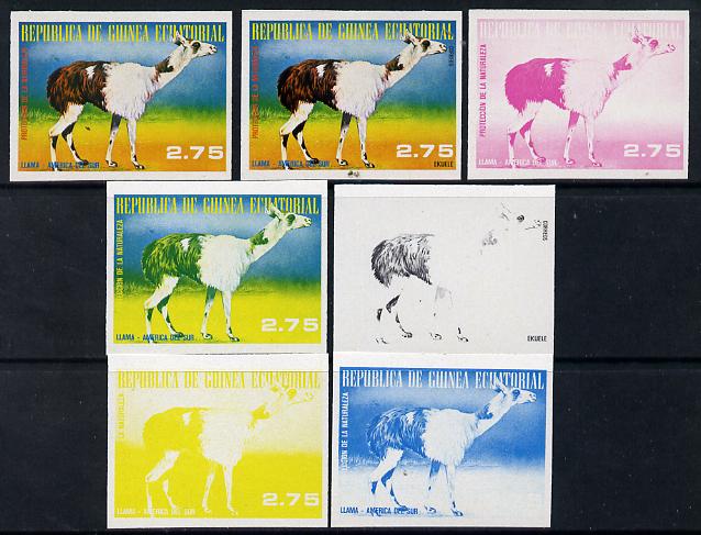 Equatorial Guinea 1977 South American Animals 2e75 (Llama) set of 7 imperf progressive proofs comprising the 4 individual colours plus 2, 3 and 4-colour composites, a superb and important group unmounted mint (as Mi 1249), stamps on , stamps on  stamps on animals