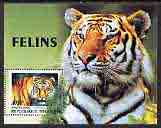 Togo 2000 Big Cats (Tiger) perf m/sheet unmounted mint, stamps on , stamps on  stamps on cats, stamps on  stamps on tigers