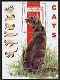 Afghanistan 2000 Domestic Cats (Oriental Shorthair) perf m/sheet unmounted mint, stamps on , stamps on  stamps on cats