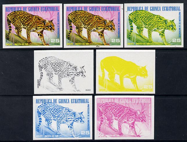 Equatorial Guinea 1977 South American Animals 25e (Ocelot) set of 7 imperf progressive proofs comprising the 4 individual colours plus 2, 3 and 4-colour composites, a superb and important group unmounted mint (as Mi 1253), stamps on , stamps on  stamps on animals     cats