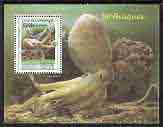 Cambodia 1999 Molluscs (Octopus) perf m/sheet perf m/sheet unmounted mint, stamps on marine life, stamps on octopus