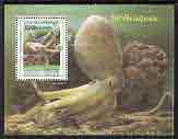 Cambodia 1999 Molluscs (Octopus) perf m/sheet perf m/sheet unmounted mint, stamps on , stamps on  stamps on marine life, stamps on  stamps on octopus