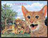Congo 1999 Domestic Cats perf m/sheet unmounted mint, stamps on cats