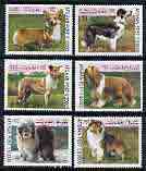 Afghanistan 1999 Dogs perf set of 6 unmounted mint*, stamps on , stamps on  stamps on dogs, stamps on  stamps on corgi, stamps on  stamps on collie, stamps on  stamps on 